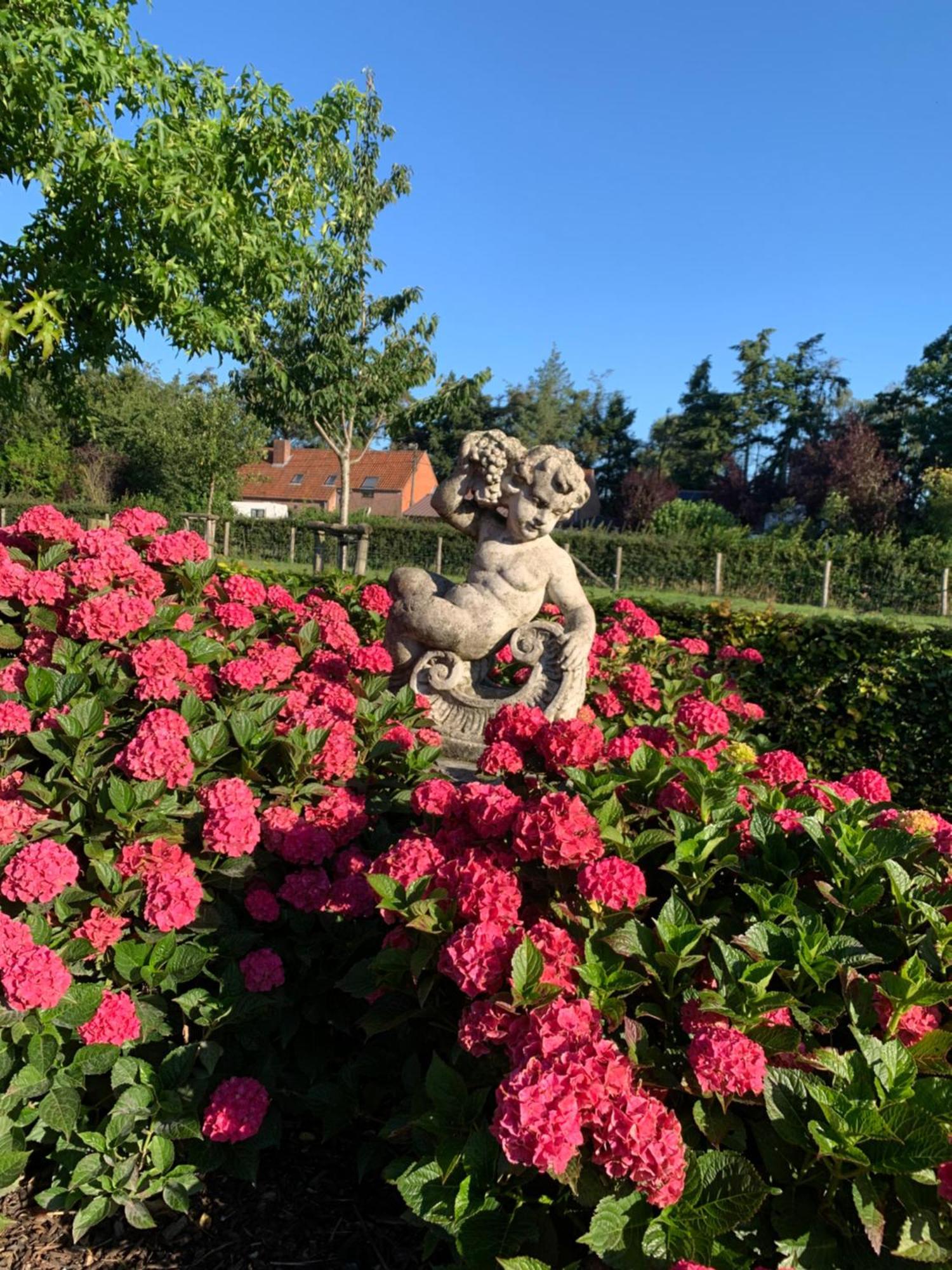 B&B A'Laise Zedelgem Kültér fotó